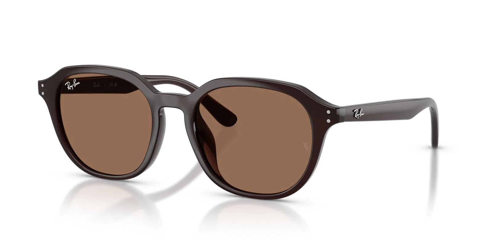 Ray-Ban 4459D Sunglasses - view 24